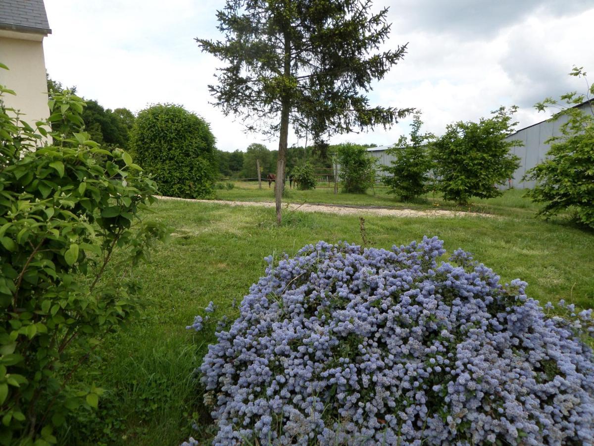 Bienvenue A L'Andruere Bed & Breakfast Cheille Bagian luar foto